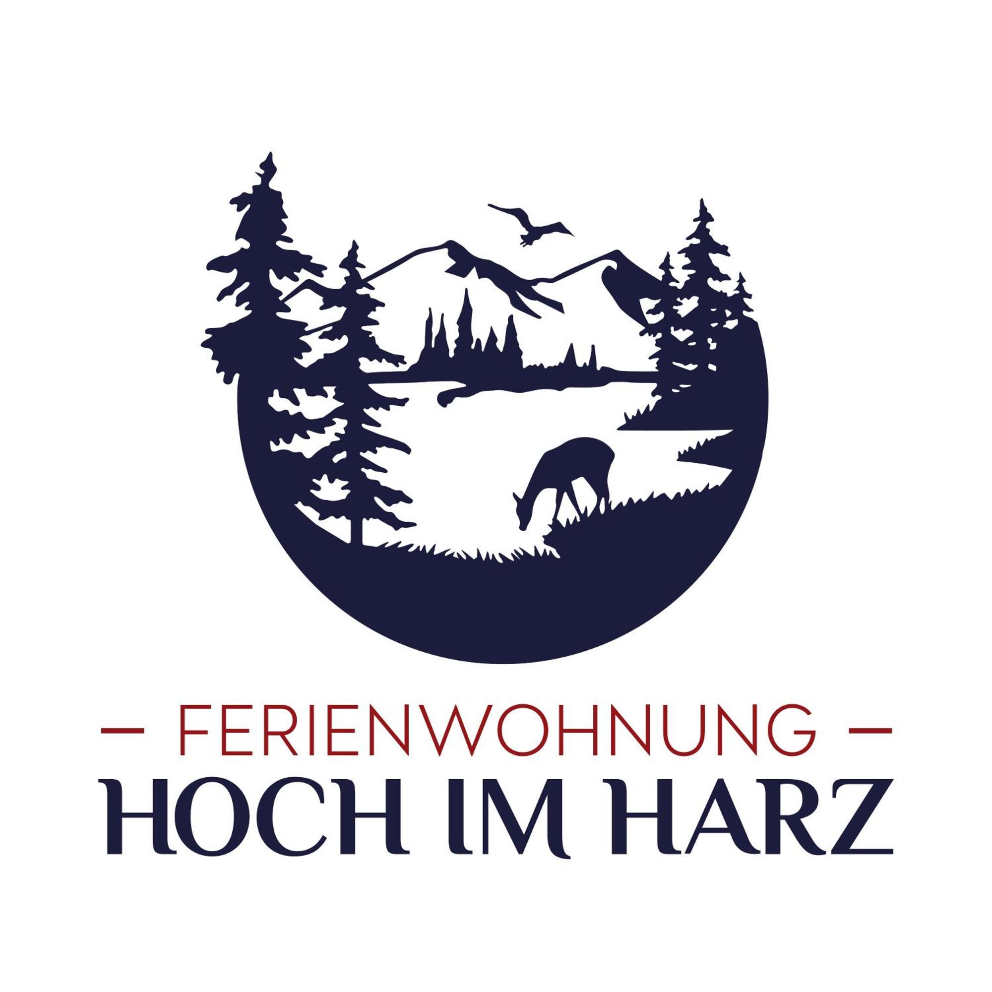 Ferienwohnung Hoch Im Harz, Altenau Altenau  Extérieur photo